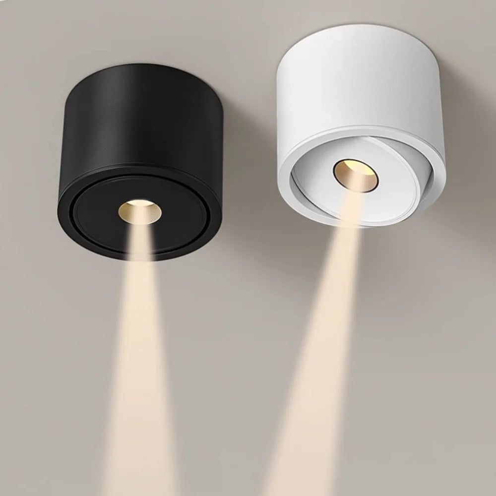 Deloran – Spot Plafonnier Dimmable Avec Angle De Faisceau Étroit