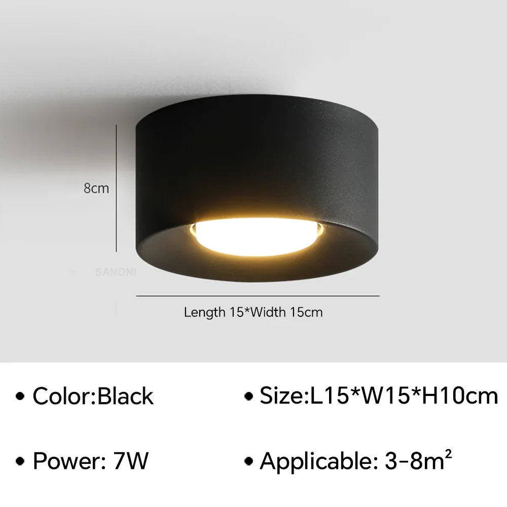 Birelio – Moderne LED Plafondlamp Cilinder Spotlight