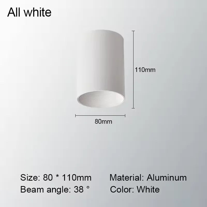 Levorin – LED Opbouw Spot Aluminium Plafondlamp