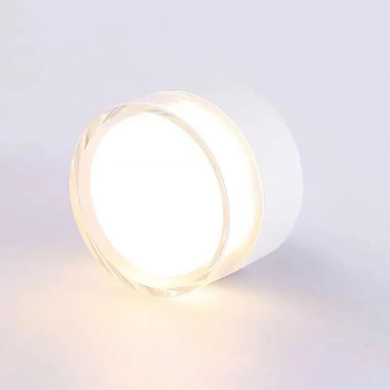 Adaline - LED Surface Mounted Downlight Ceiling Lamp