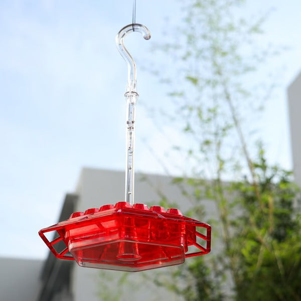 Avelionn – Hanging nectar feeder with ant moat for hummingbirds